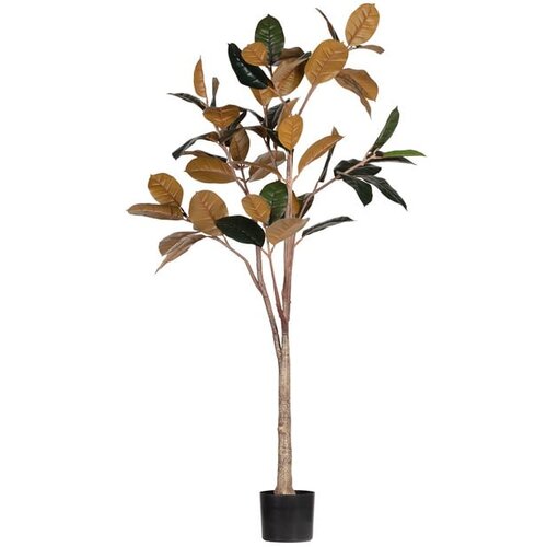 WOOOD Umjetni fikus (visina 170 cm) – Cijene