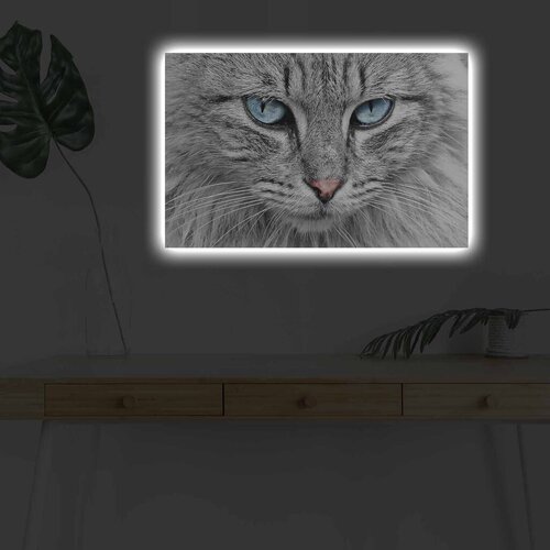 Wallity Zidna slika sa LED osvetljenjem 4570DHDACT-065, 45x70 cm Cijene