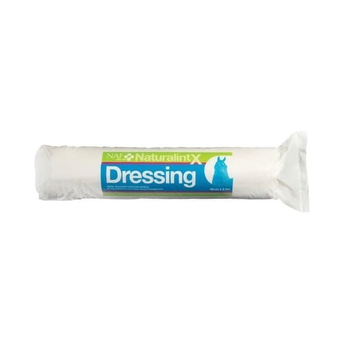  NaturalintX Dressing Cene