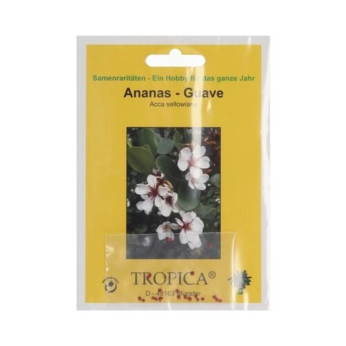 TROPICA Ananas guava Cene