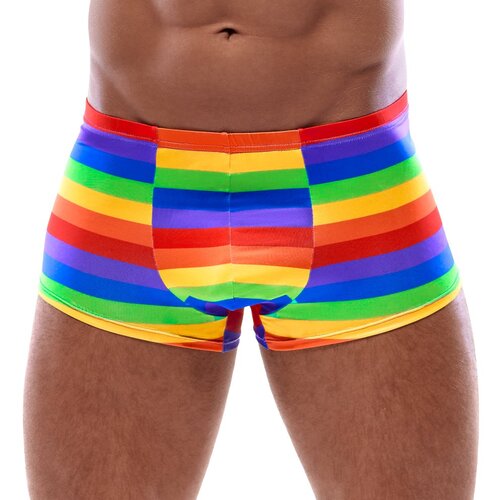 Svenjoyment Boxer Briefs 2133164 Rainbow S Cene