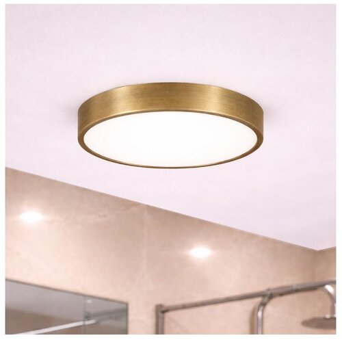  Brilagi - LED plafonsko svetlo za kupatilo POOL LED/24W/230V prečnik 30 cm IP54 mesing Cene