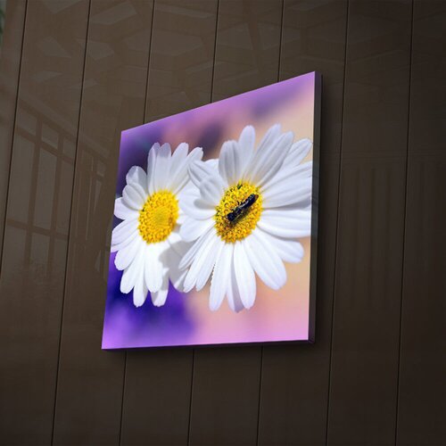 Wallity Slika sa LED osvetljenjem 2828İACT-39, 28x28 cm Cene