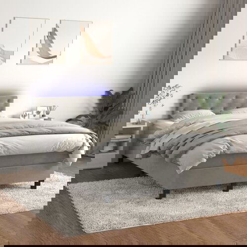 The Living Store Box spring postelja z vzmetnico LED svetlo siva 120x200cm žamet - Box Spring Postelja, (21489369) Cene