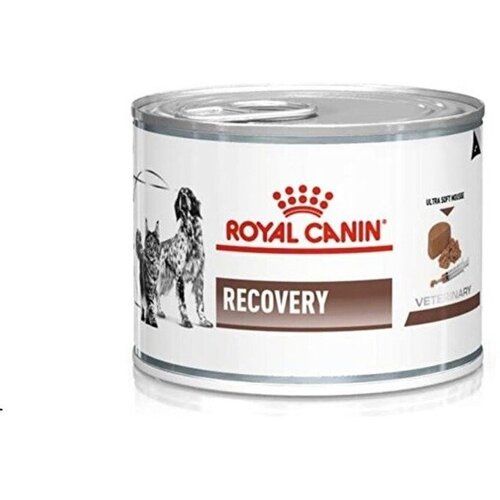 Royal Canin hrana za pse i mačke recovery 195g Slike