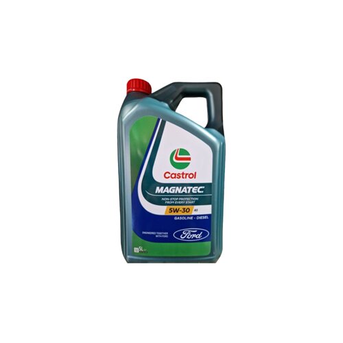Castrol motorno olje magnatec 5W-30 5L ford 15F60F Cene