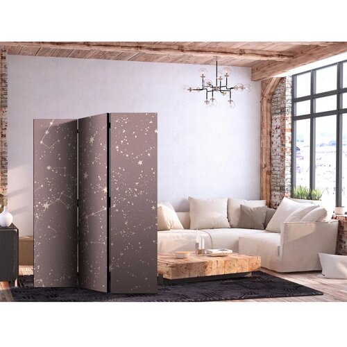  Paravan - Night Sky - Artistic Constellations and Stars in Pastel Shades 135x172 Dvostrani Cene