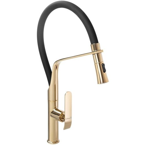 REA Bath Kuhinjski mešalnik Castor Black Gold Cene