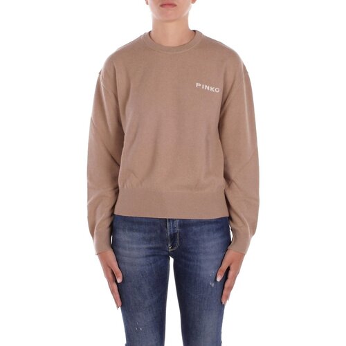 Pinko 105561 A2SI Smeđa Cijene