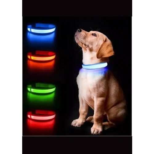  LED ogrlica za pse Slike