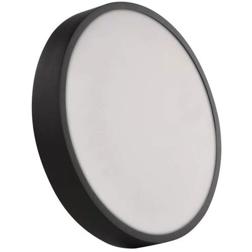  LED plafonsko svetlo LED/28,5W/230V 3000/3500/4000K prečnik 30 cm crno Cene