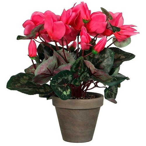  Umjetni cvijet Ciklama (Visina: 30 cm, Roze boje, Plastika) Cijene