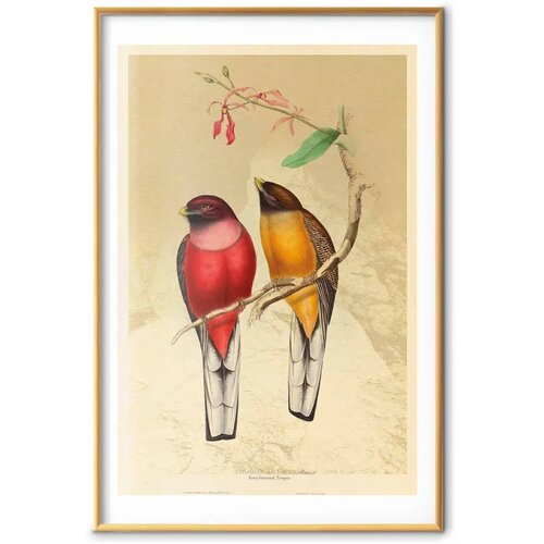  Plakat - Birds on a Branch 60x90 Zlatni okvir s margom Slike