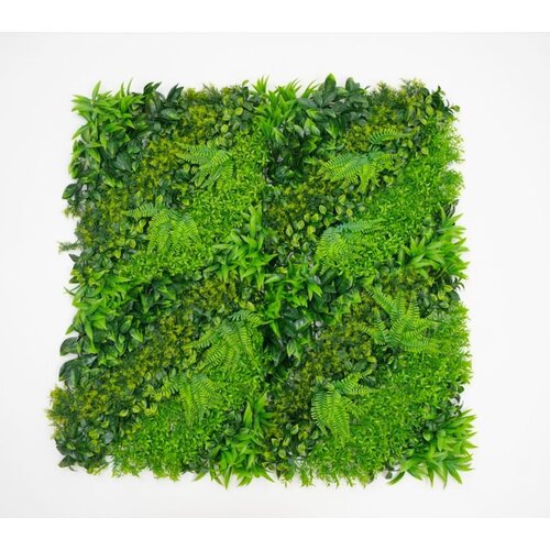 BOLZZ Zeleni zid 100x100cm 3D Lux Cene