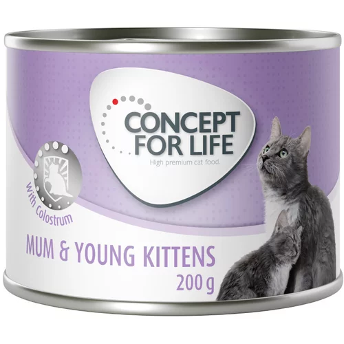 Concept for Life Mum & Young Kittens Mousse - 24 x 200 g