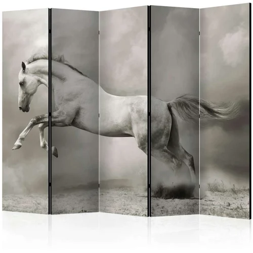  Paravan u 5 dijelova - Wild Stallion II [Room Dividers] 225x172