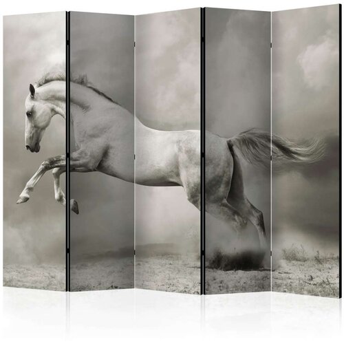  Paravan u 5 dijelova - Wild Stallion II [Room Dividers] 225x172 Slike