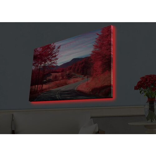 Wallity Slika sa LED osvetljenjem 4570HDACT-065, 45x70 cm Cene