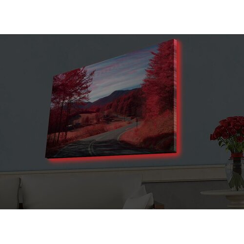 Wallity Zidna slika sa LED osvetljenjem 4570HDACT-065, 45x70 cm Cene