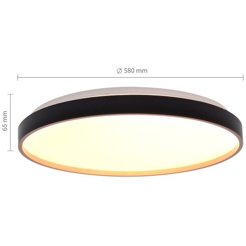  Brilagi -LED prigu&amp;scaron;iva. stropna svetiljka CALA LED/60W/230V 3000-6500K preč. 58 cm+DO Slike