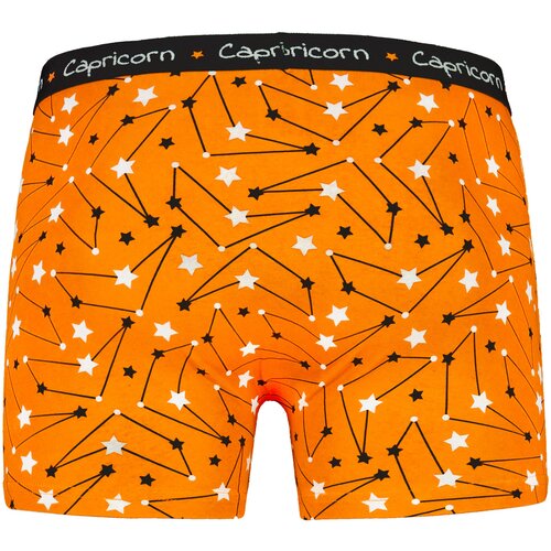 Frogies Men's boxers Zodiac Kozorog Cene