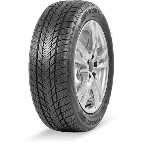 Davanti 215/50R17 95V Wintoura+ zim Cene