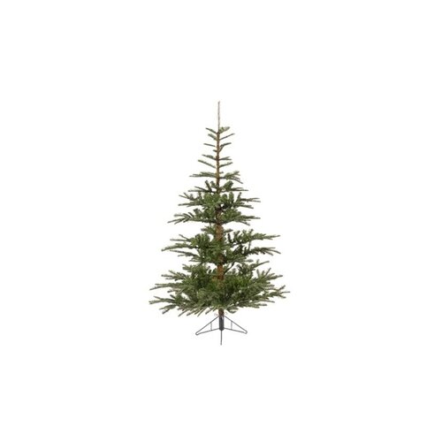  jelka nobilis fir, visina 300cm (68.9204) Cene