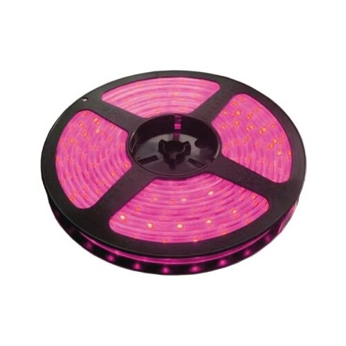  Traka roza 60 LED / 1m LTR3528/60P-12 Cene