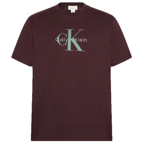 Calvin Klein Jeans Majice s kratkimi rokavi HERO MONOLOGO TEE 20S Kostanjeva Slike