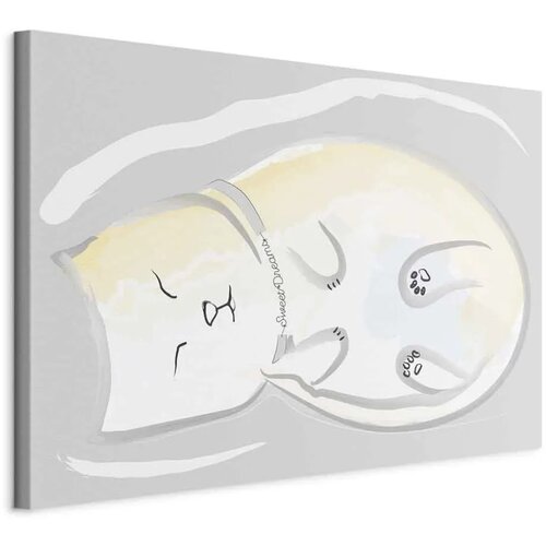  Slika - Sleepy Kitty (1 Part) Vertical 60x40 Standard Cijene