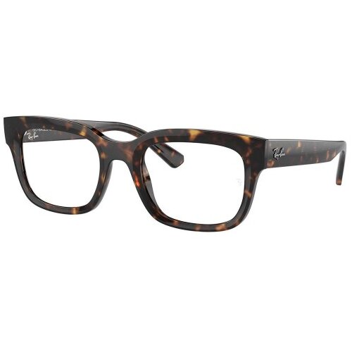 Ray-ban Chad RX7217 8320 - M (52) Cijene