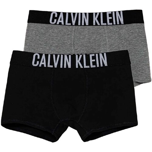 Calvin Klein Jeans Spodnje hlače 2Pk Trunk Večbarvna Cene