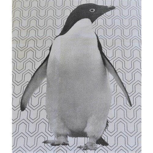 Kuhinjska krpa print penguin 45x70cm Cene