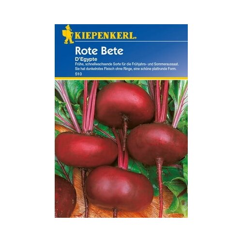 KIEPENKERL Rdeča pesa D'Egypte Cene