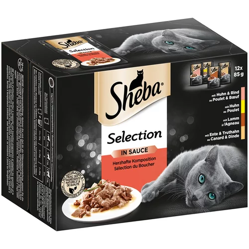 Sheba Selection in Sauce vrećice mega pakiranje 24 x 85 g - Selection in Sauce govedina