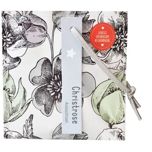 MALO božično darilo - set za gojenje "Božična vrtnica" - 1 k. Cene