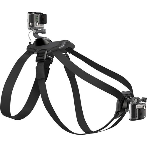 GoPro nosač za pse fetch (dog harness) Cene