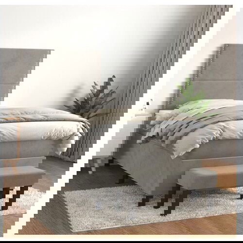 vidaXL Box spring krevet s madracem svjetlosivi 80 x 200 cm baršunasti Cijene