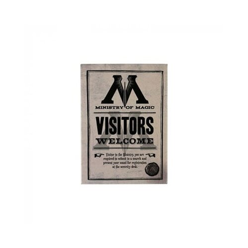 Half Moon Bay Harry Potter - Magnet - Harry Potter, Ministry of Magic Cene