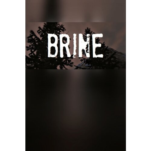 Steam Brine Key (PC) GLOBAL Cene