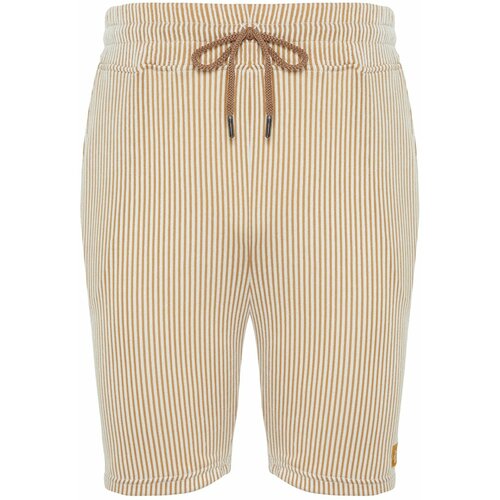 Trendyol Beige Striped Regular/Regular Fit Shorts Cene