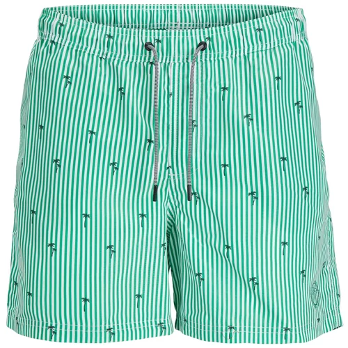 Jack & Jones Kratke kopalne hlače 'FIJI' svetlo zelena / temno zelena / bela