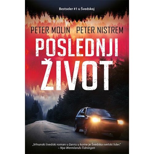 Čarobna knjiga Peter Molin, Peter Nistrem - Poslednji život Slike