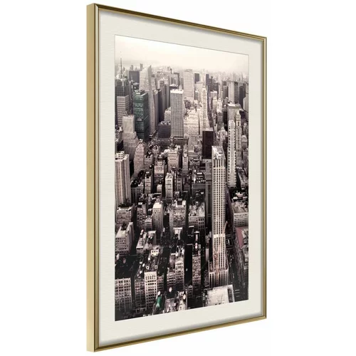  Poster - New York from a Bird's Eye View 40x60