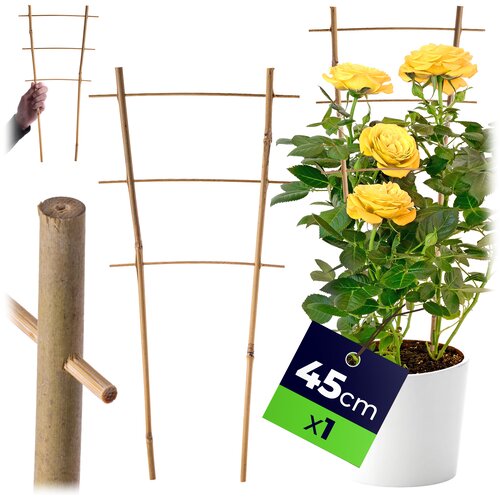 KADAX Bambusova lestev za oporo rastlin 45 cm za rože, dvojna opora, (5000362465) Cene