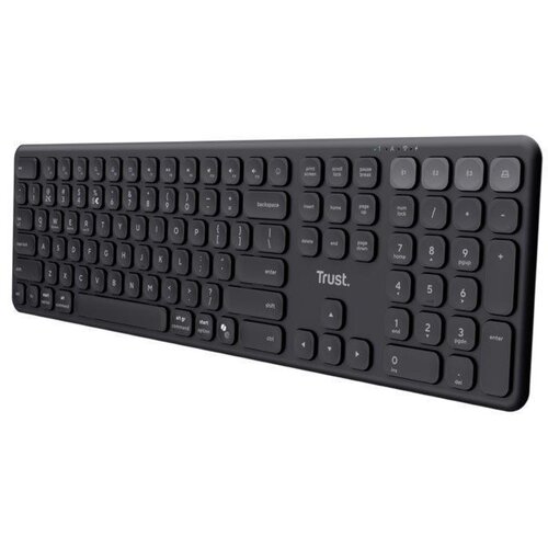  VAIYA MULTIDEVICE WRLS TASTAT (25511) Cene