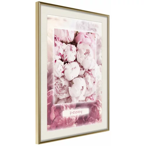  Poster - Scent of Peonies 30x45
