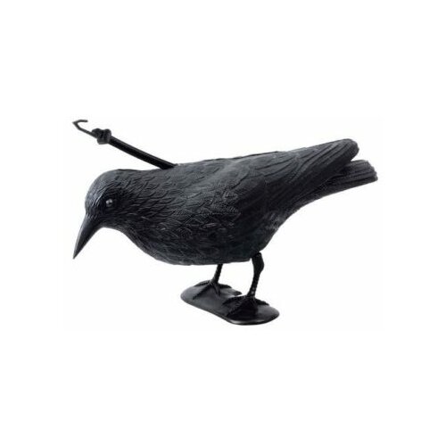 Stocker Italija rasterivac ptica vrana A.4539 Cene