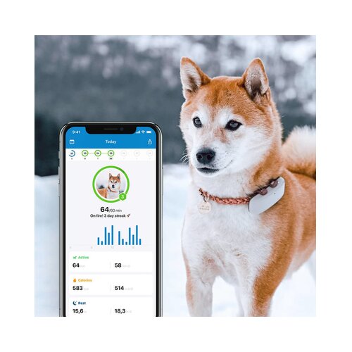 Tractive GPS Dog 4 Tracker Slike