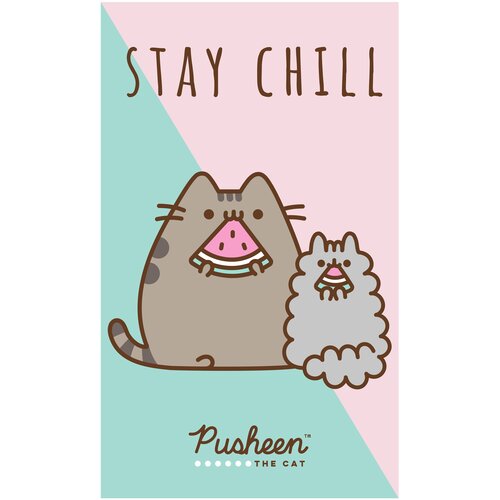 Darymex Vrtečka brisača za otroka 30x50 Pusheen, (22025224) Cene